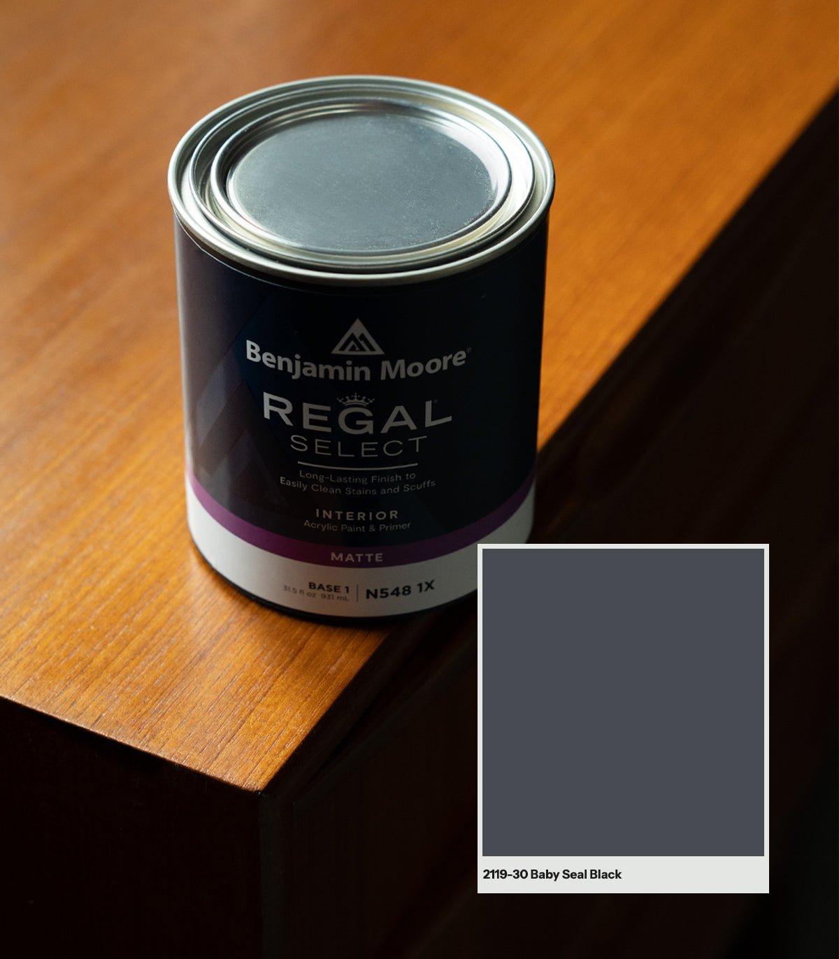 Baby Seal Black 2119 - 30 - Wallcolors®