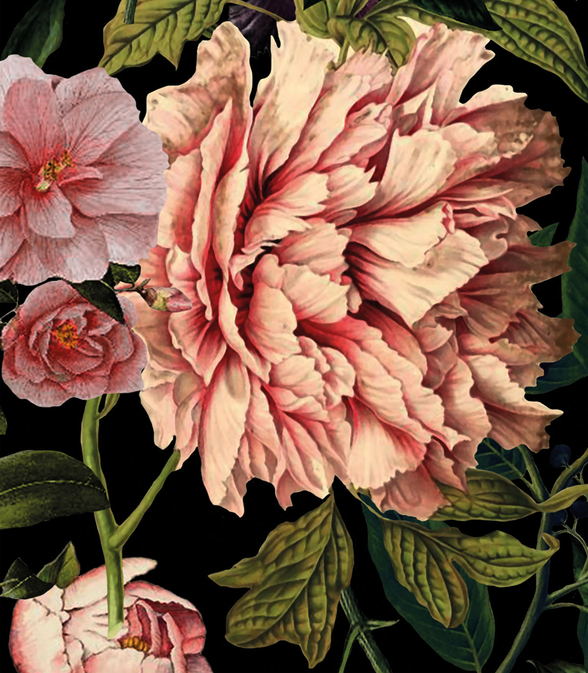 Schöne Blüten Hintergrund