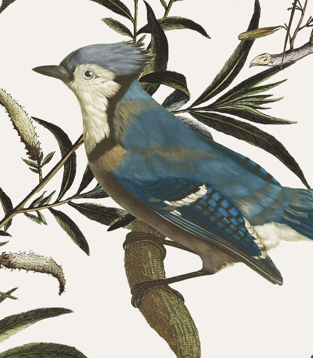 Vögel im Garten Ecri Tapete