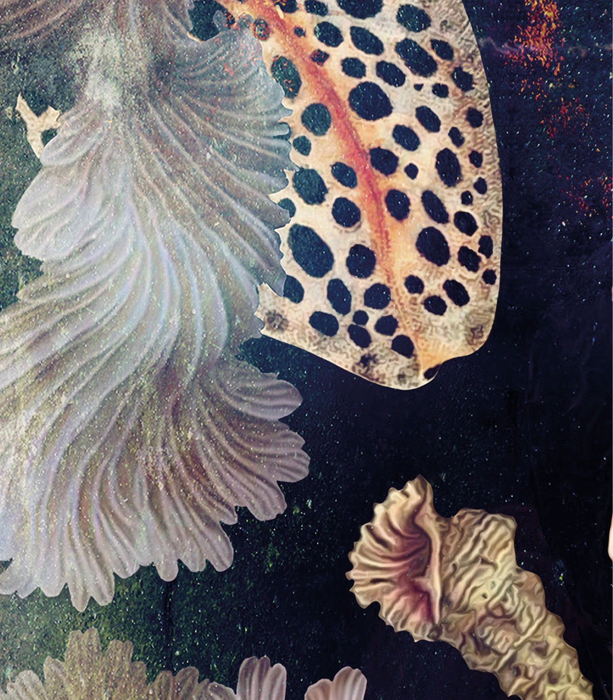 Schwarzes Meer Tapete