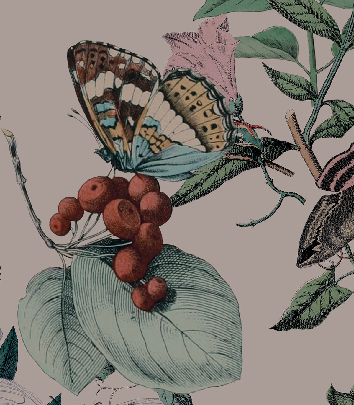 Schmetterling Rowan Pink Tapete