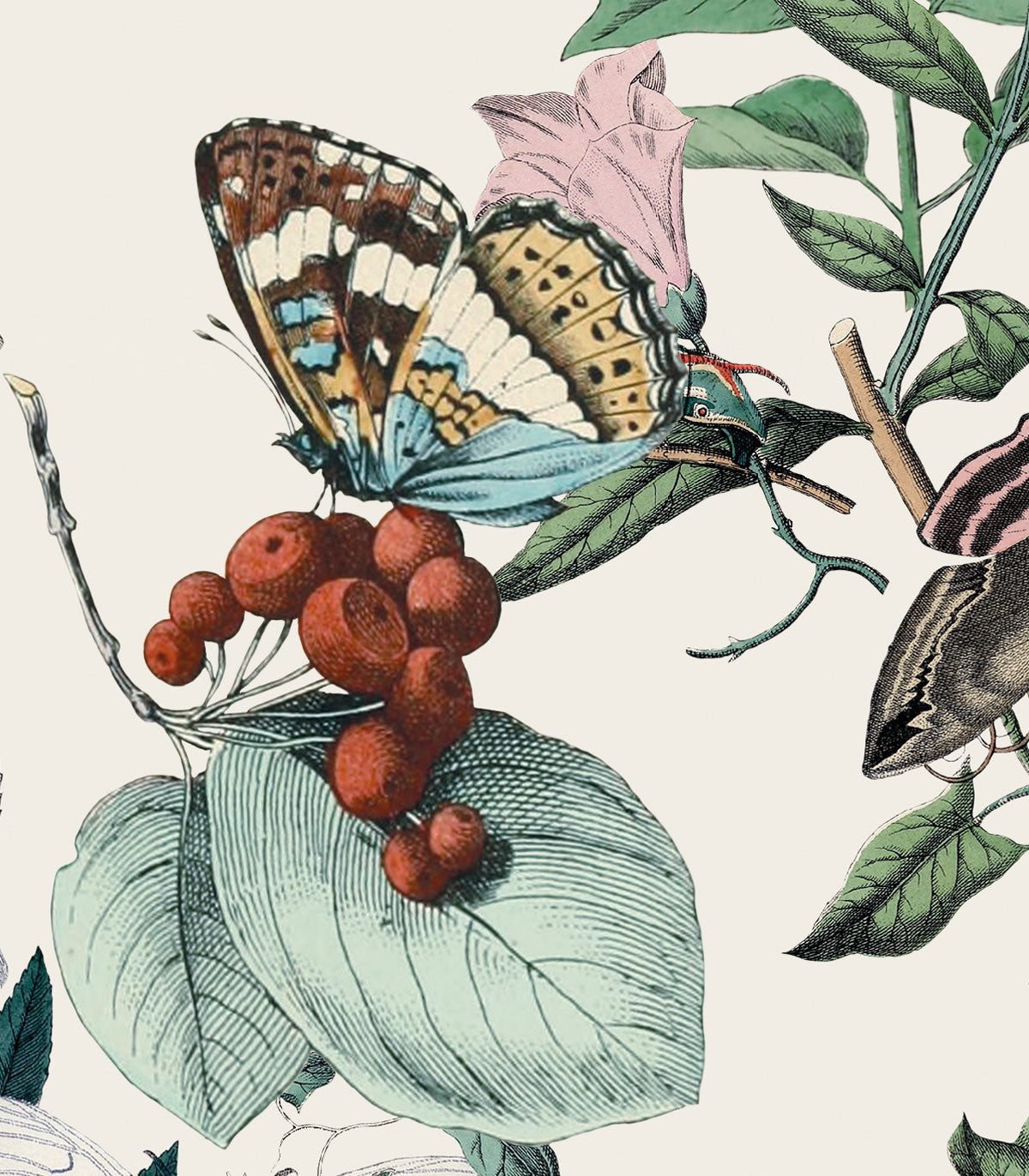 Schmetterling Rowan Tapete