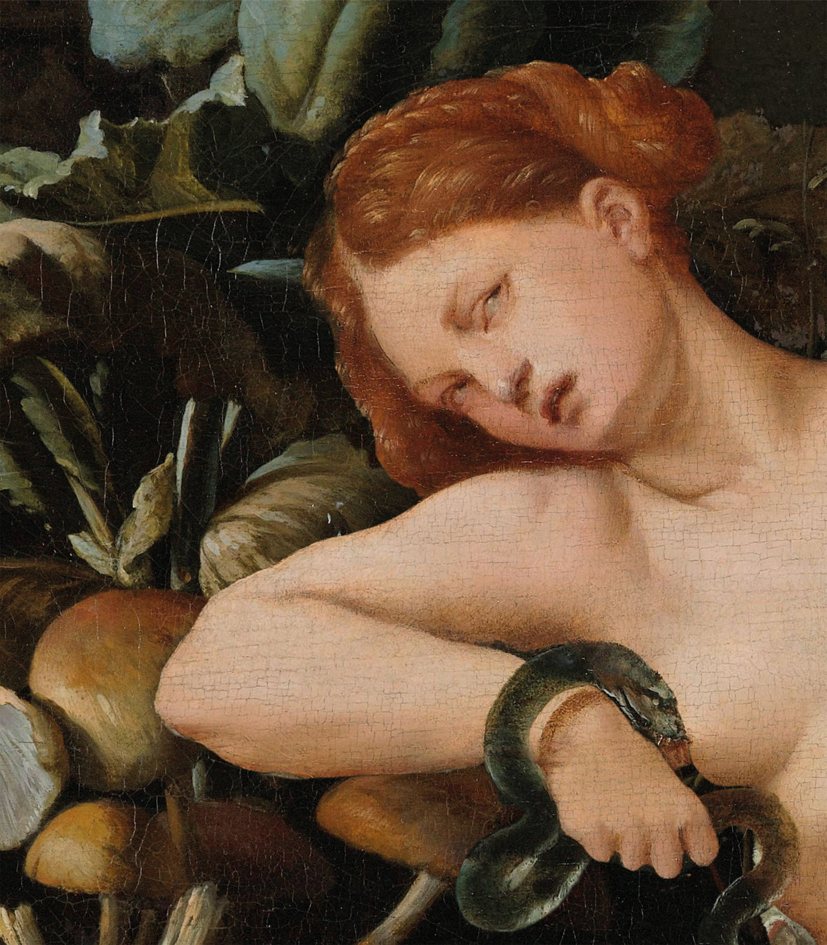 Kleopatra Hintergrund