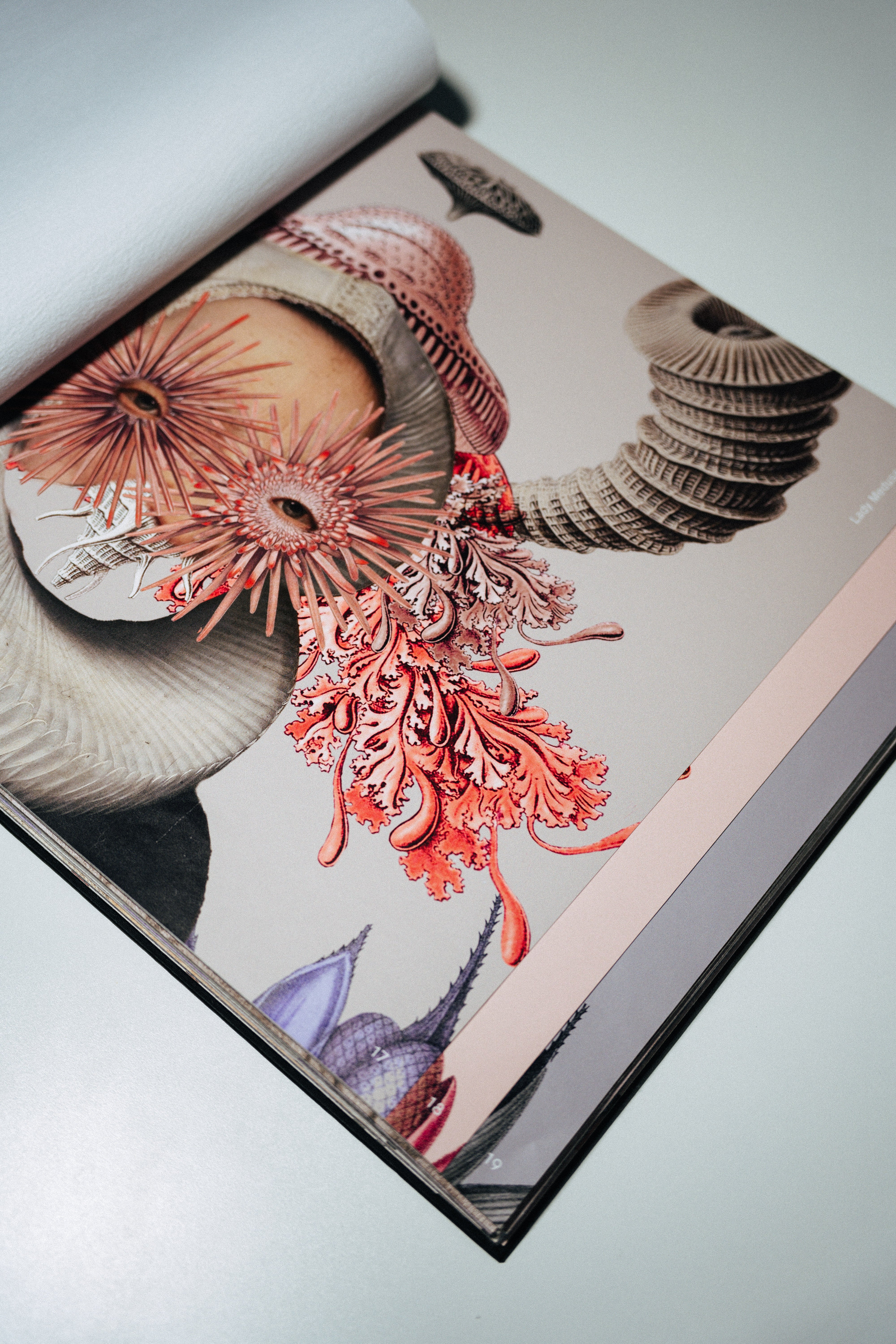 SampleBook