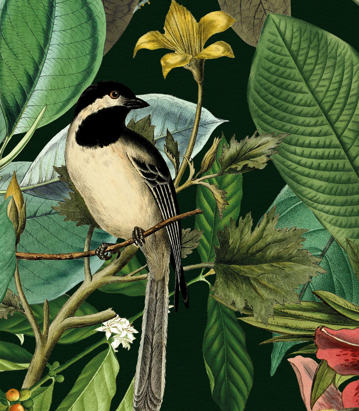 Dunkle Farben Tapete