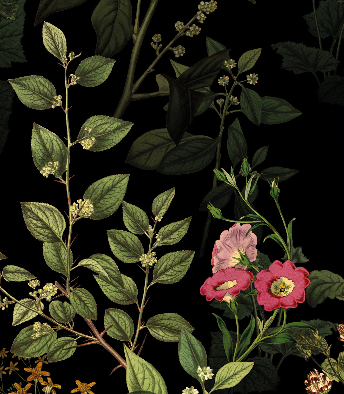 Dunkle Wiese Hintergrund