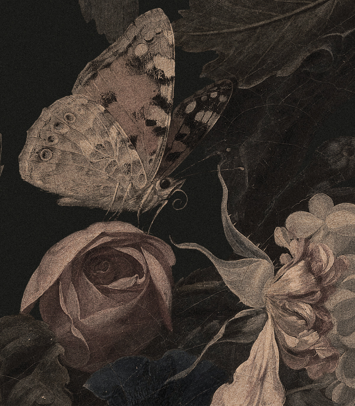 Libellengarten Schwarze Tapete