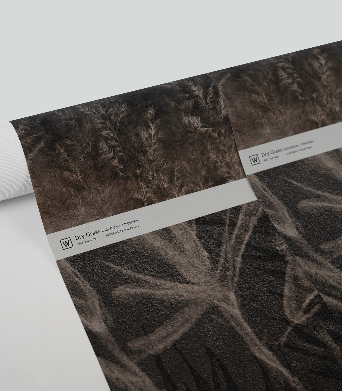Wallpaper Dry grass
