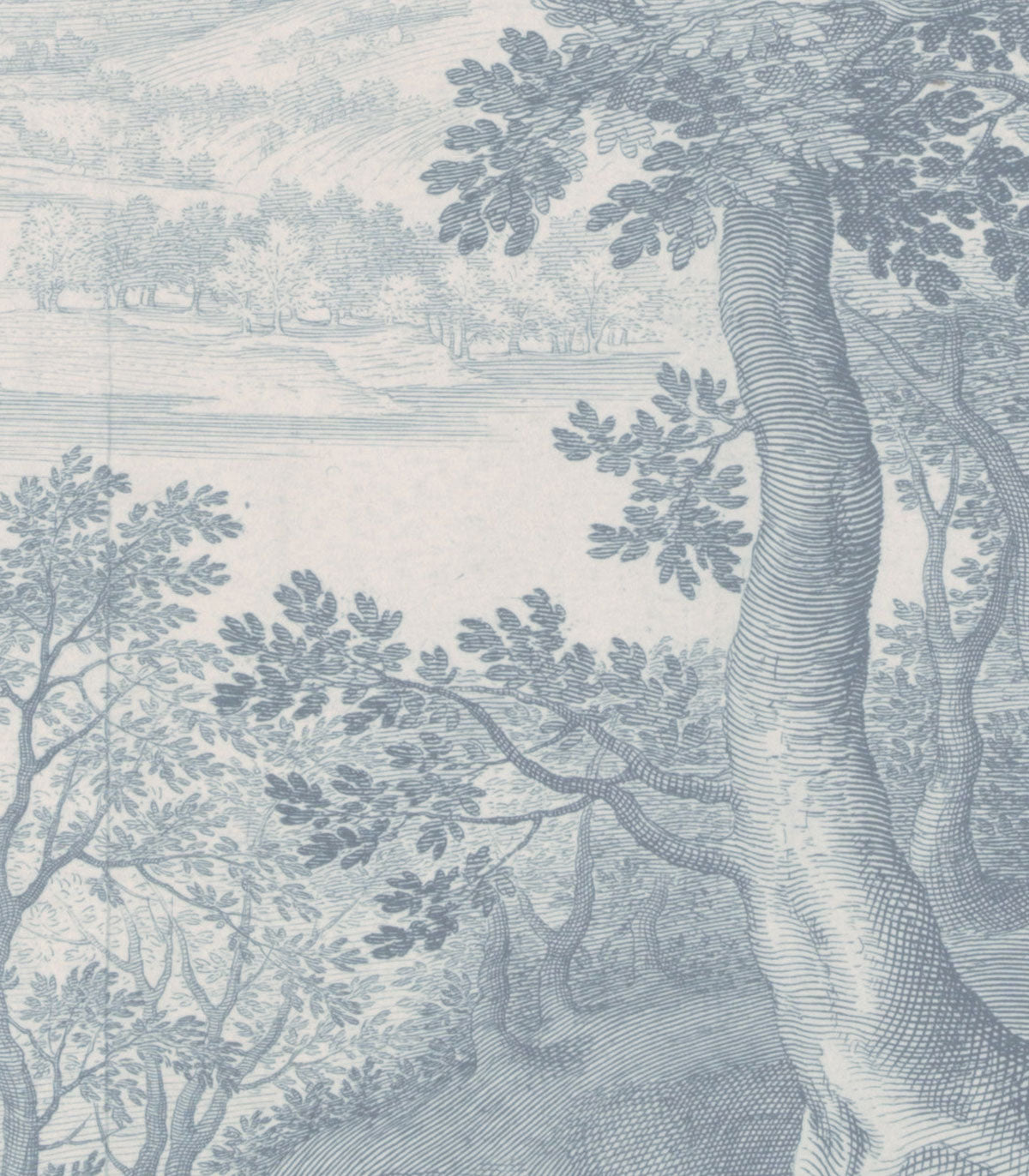 Ätherisches Waldblau Tapete