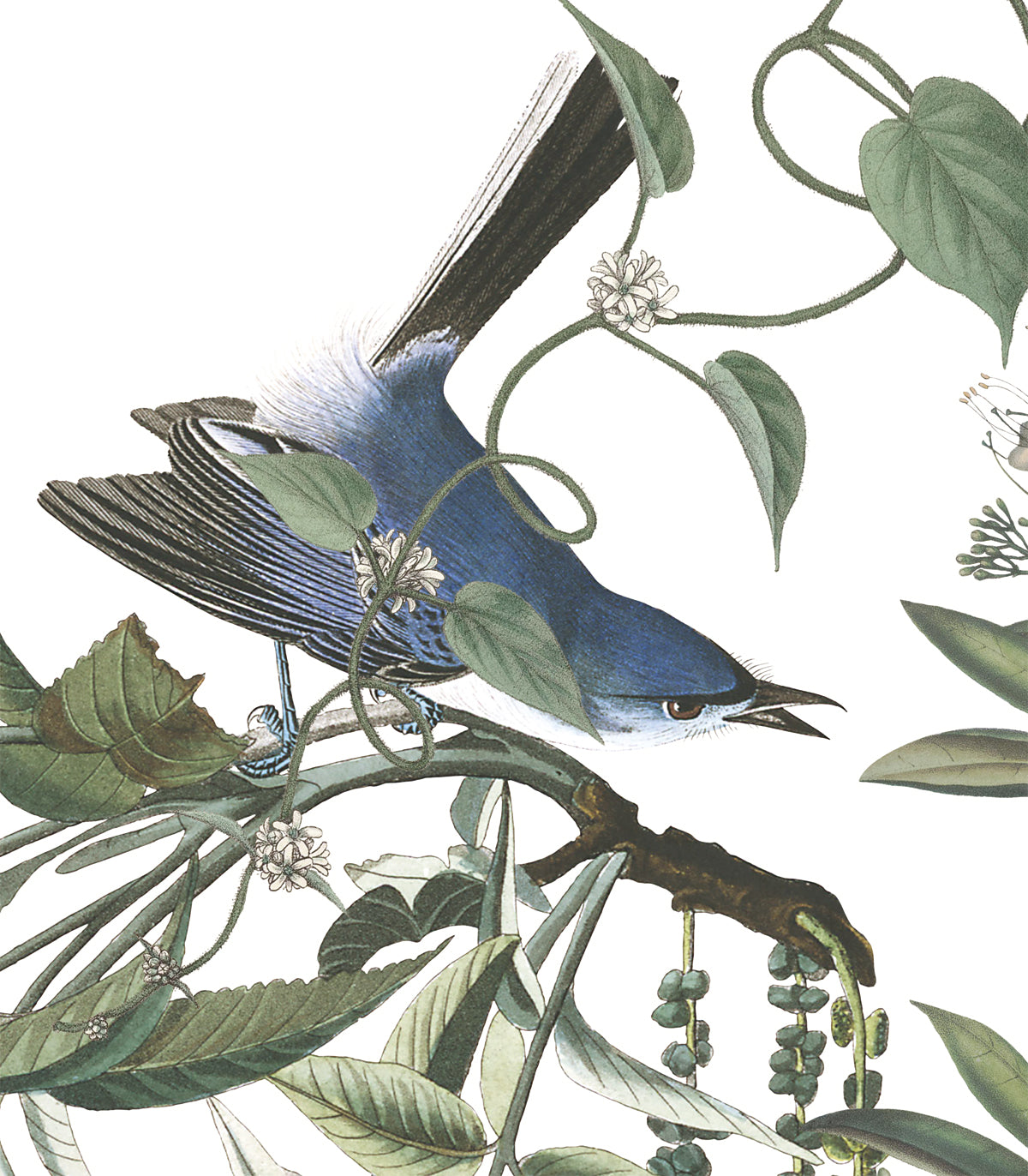 Fliegende Vögel Hintergrund