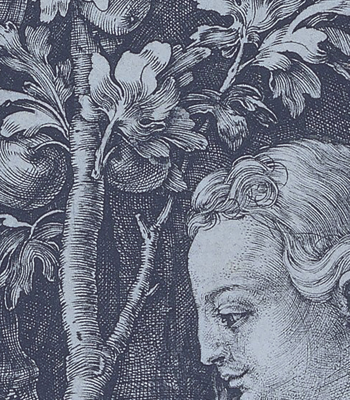 Verbotene Fruchttapete