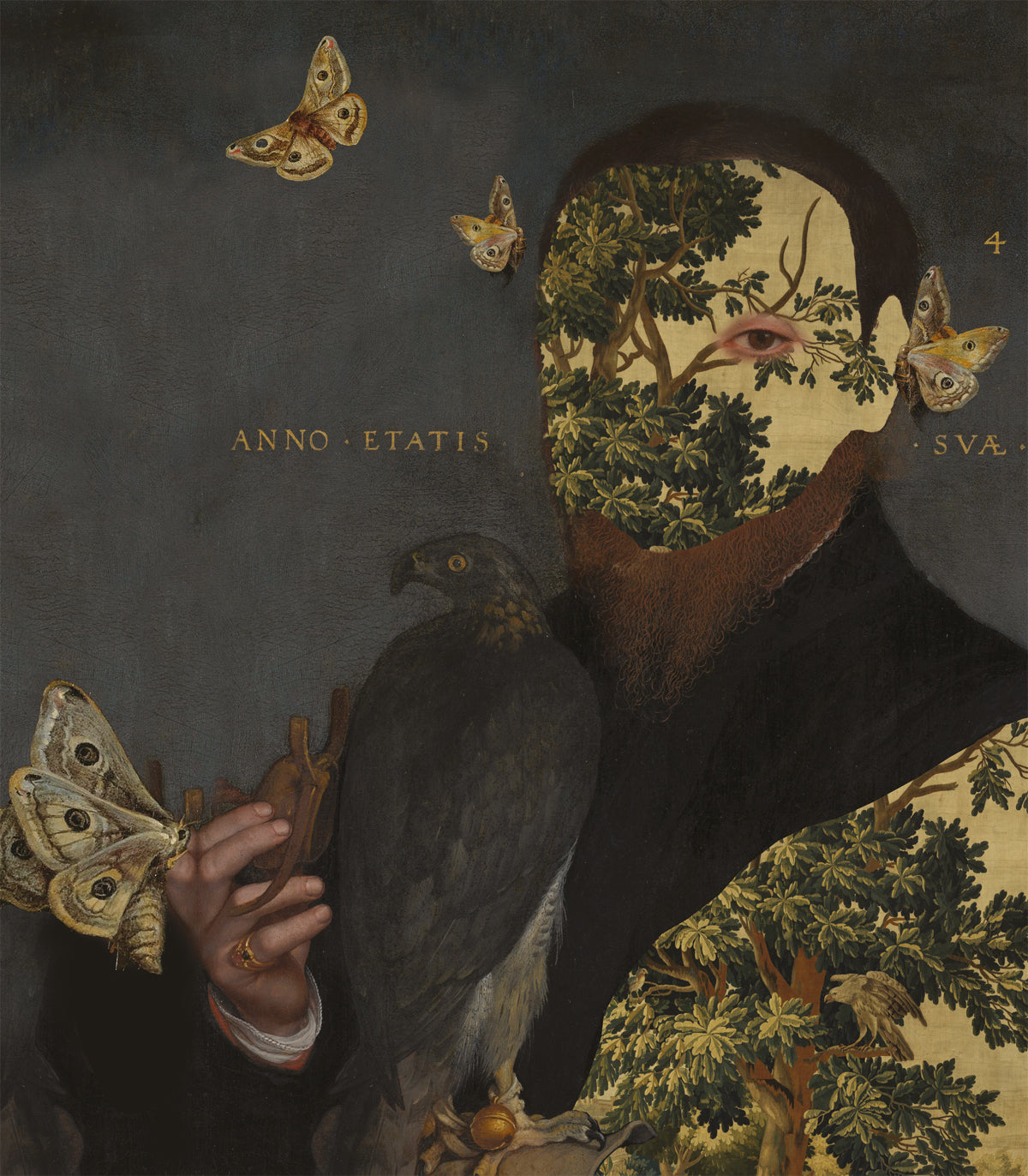 Gentleman Moth Hintergrund