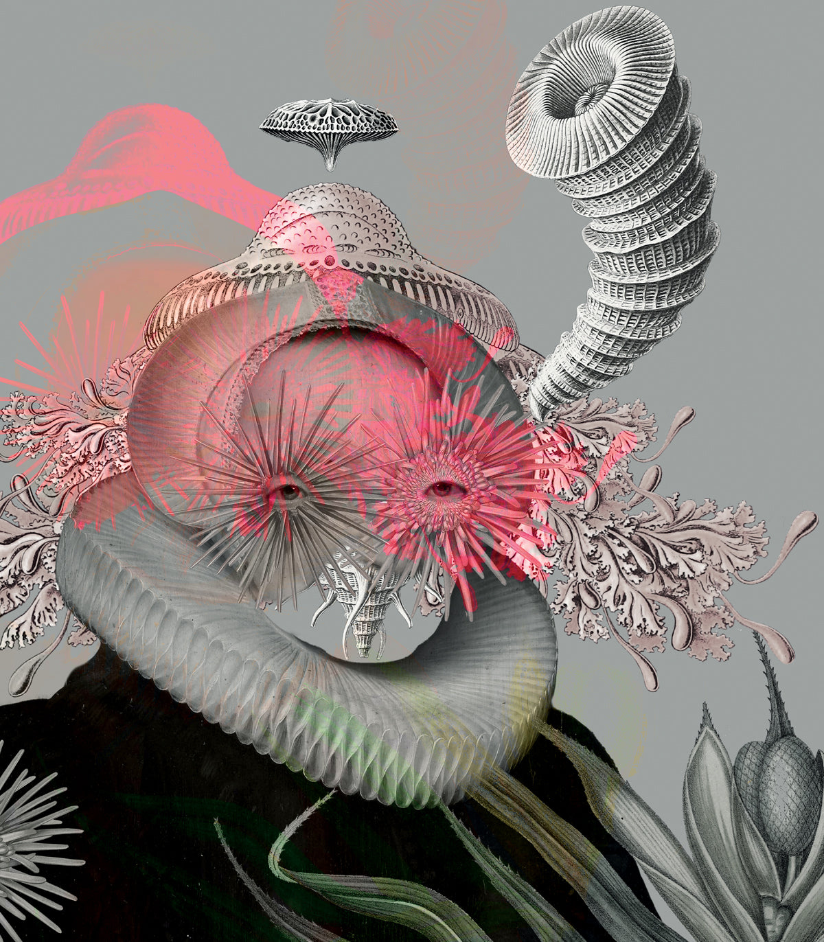 Lady Medusa Graue Tapete