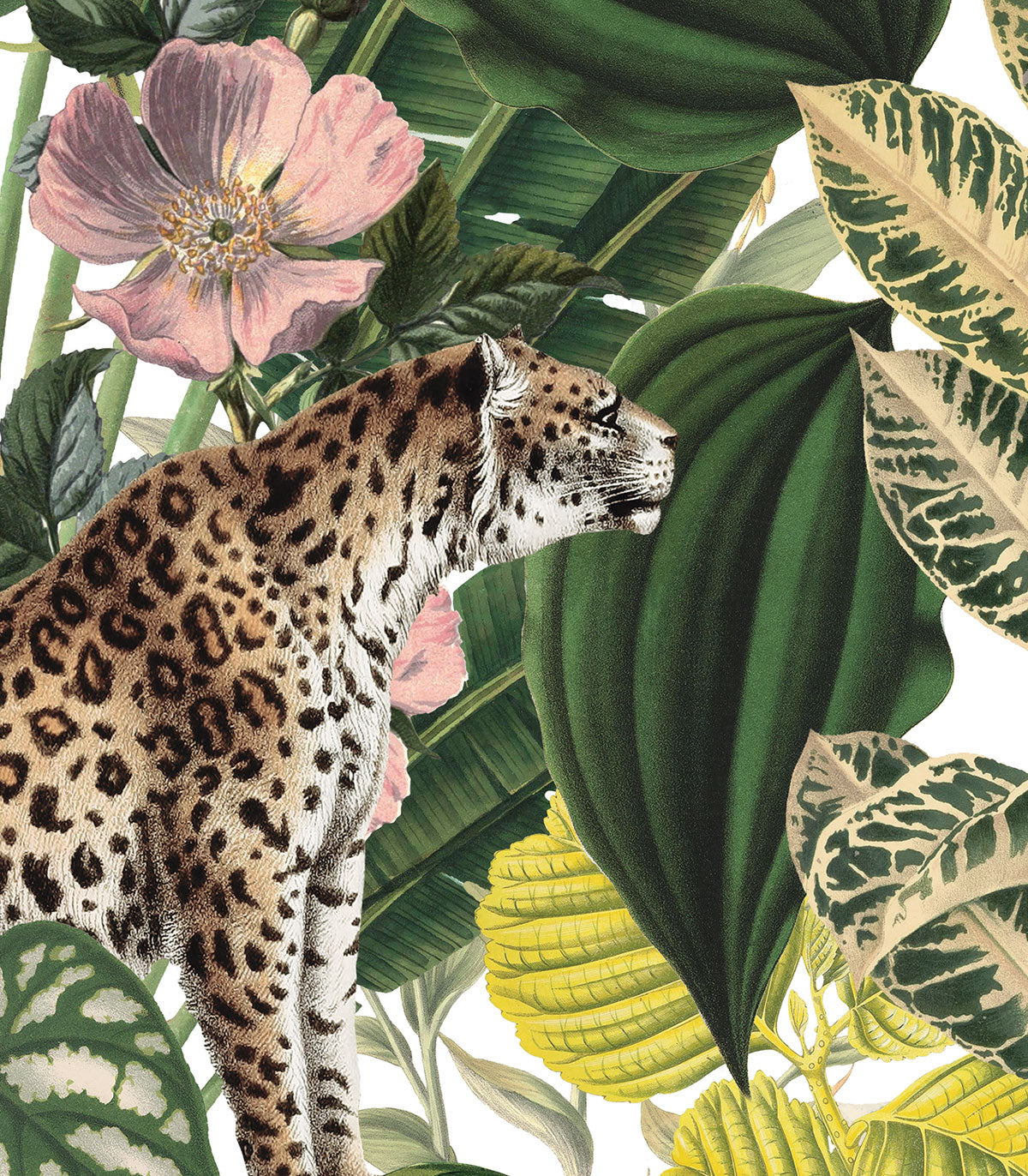 Helle Dschungel-Tapete