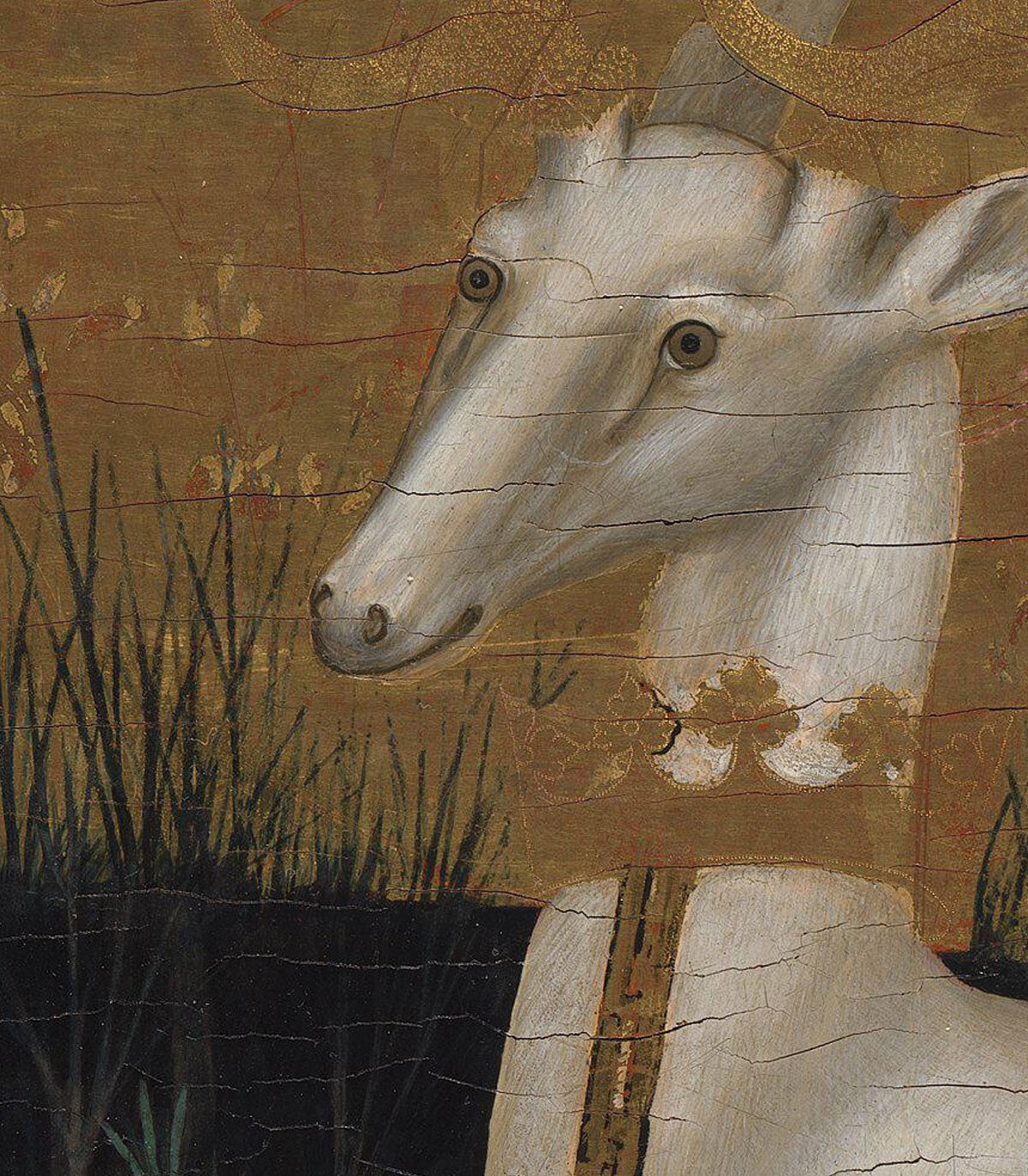 Majestätische Ruhe Hintergrund