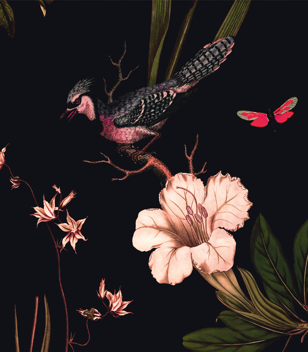 Geheimnisvoller Garten Hintergrund