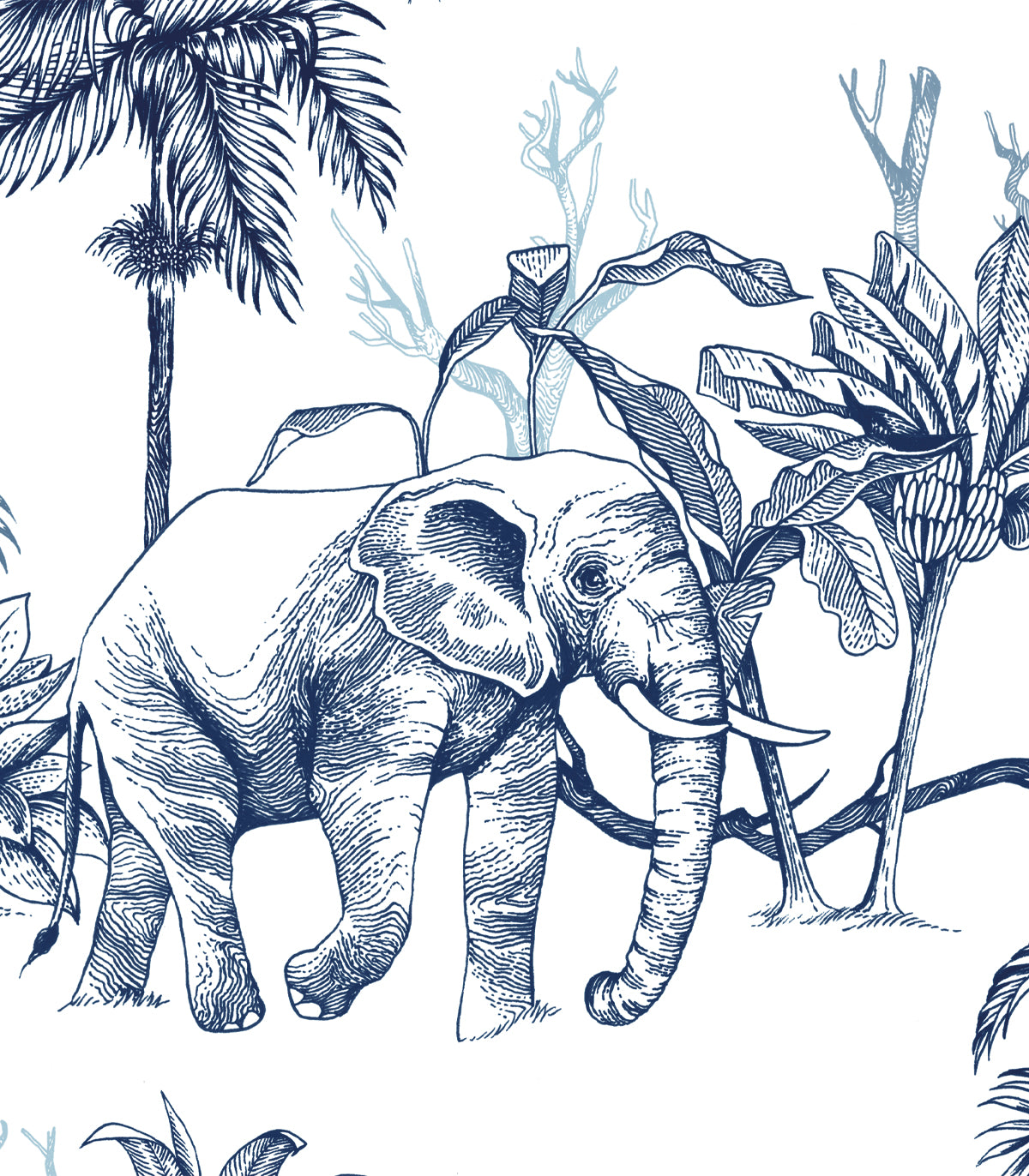 Kraft des Dschungels Hintergrund