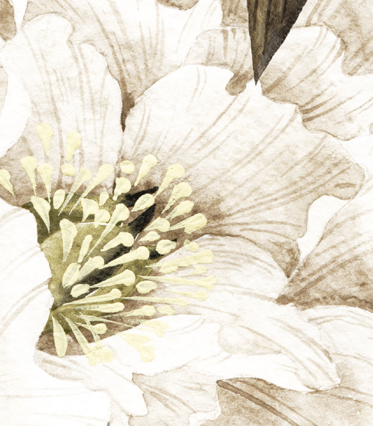 Hübsche beige Tapete