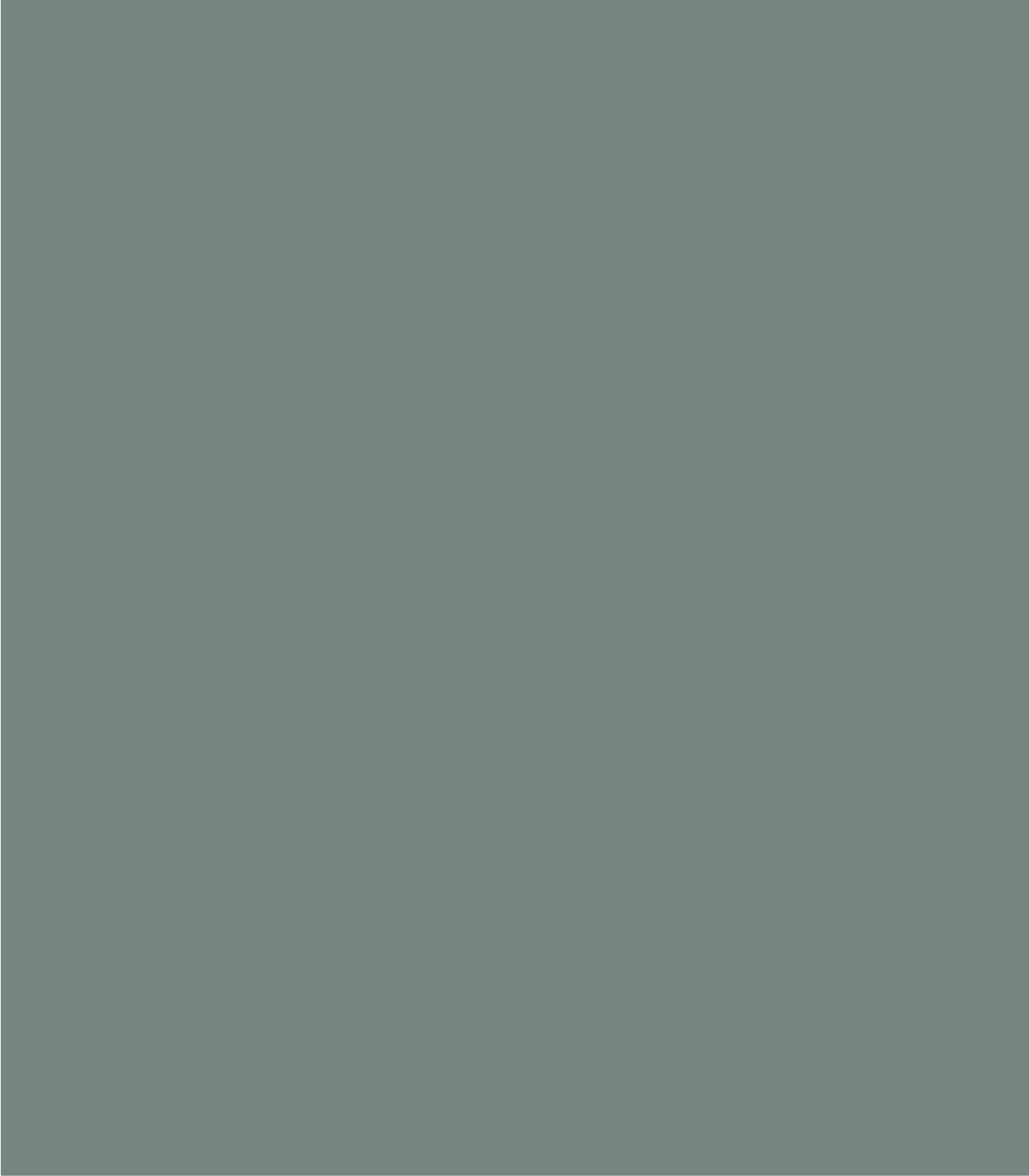 Arch Solid Soft Mineral - Wallcolors®