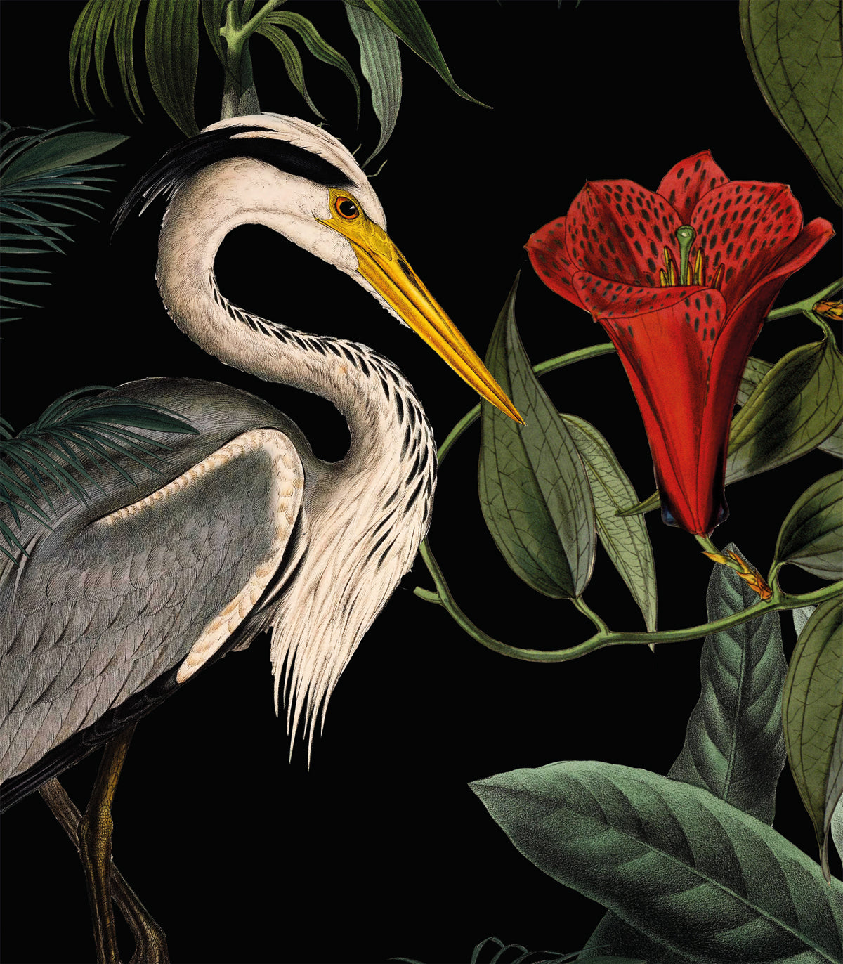 Stehender Reiher Hintergrund