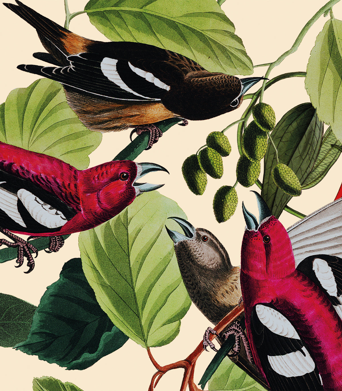 Das Dschungelbuch Hintergrund