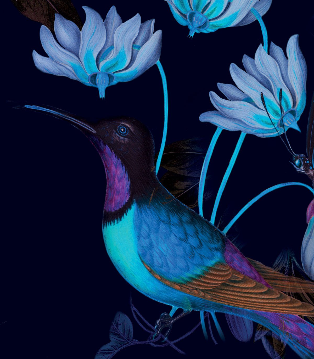 Tapeta Toxic Hummingbirds - Wallcolors®