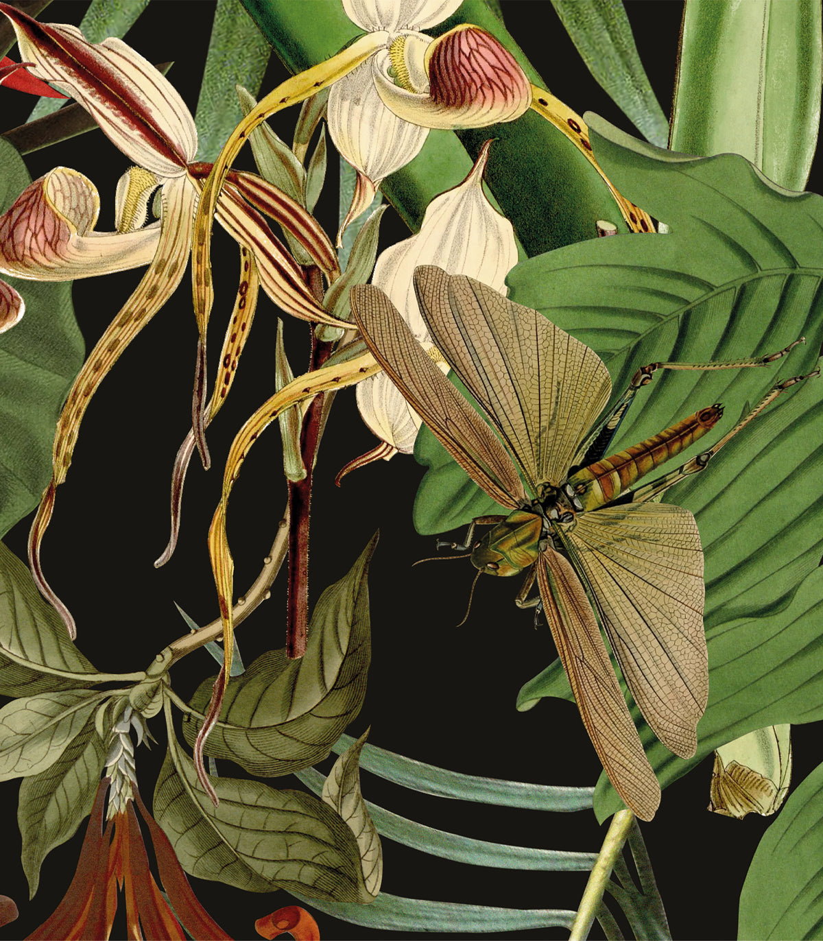 Tropische Komposition Tapete