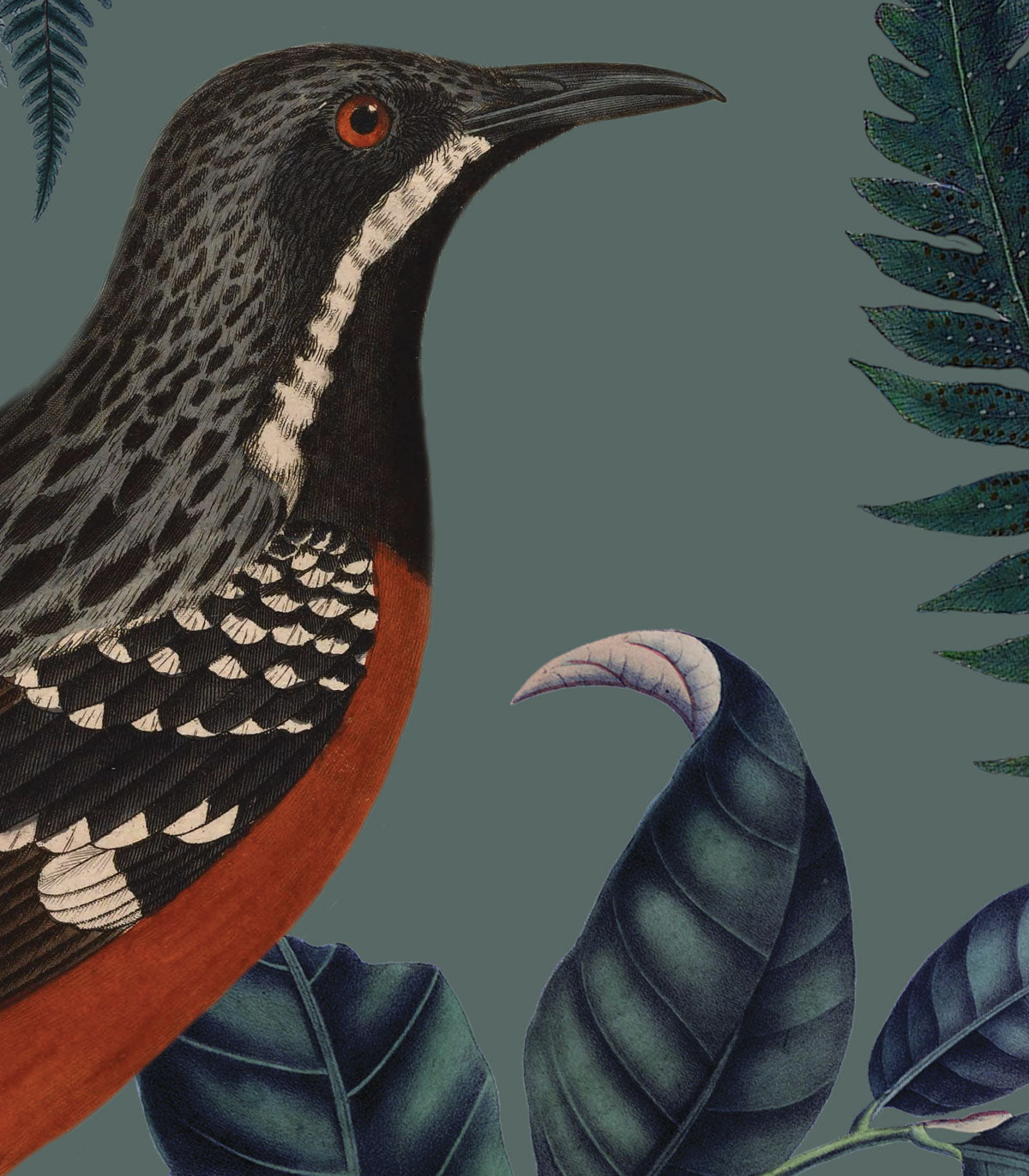 Türkisfarbene Farn-Tapete