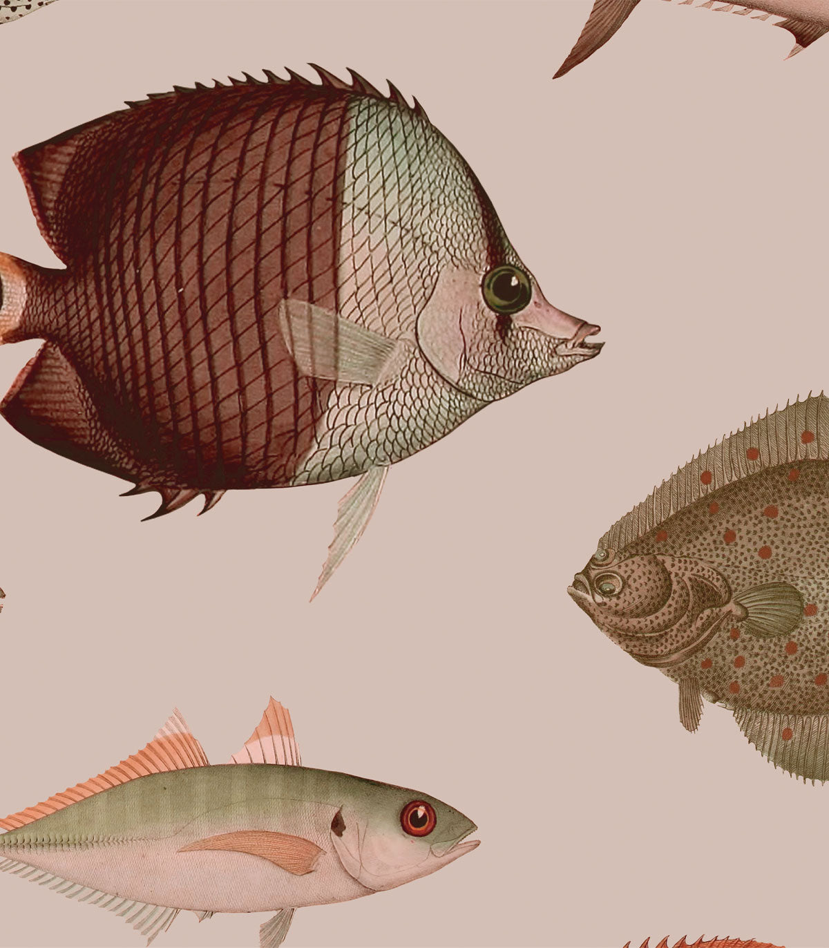 Unter dem Meer Rosa Tapete