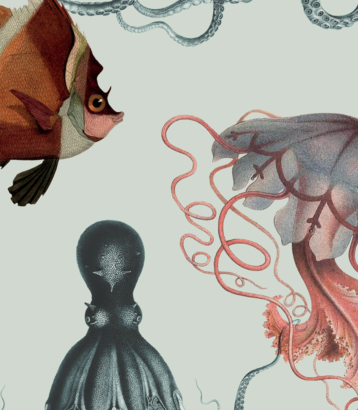 Unterwasserwelt Licht Hintergrund