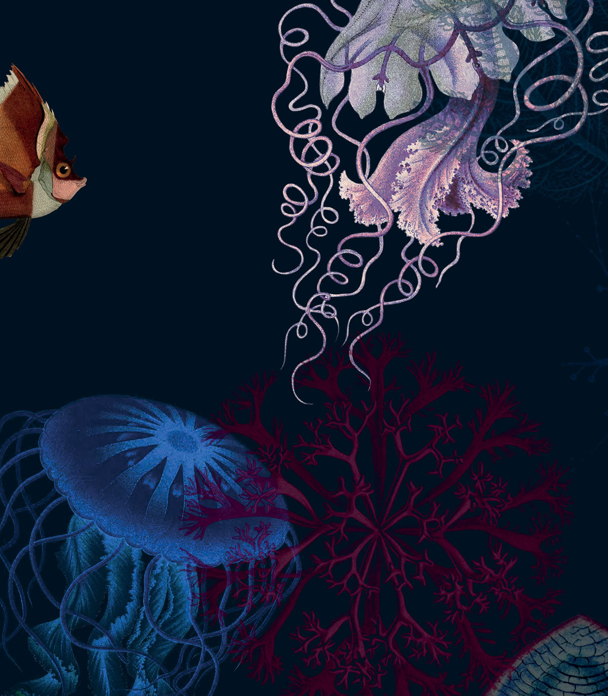 Unterwasserwelt Hintergrund