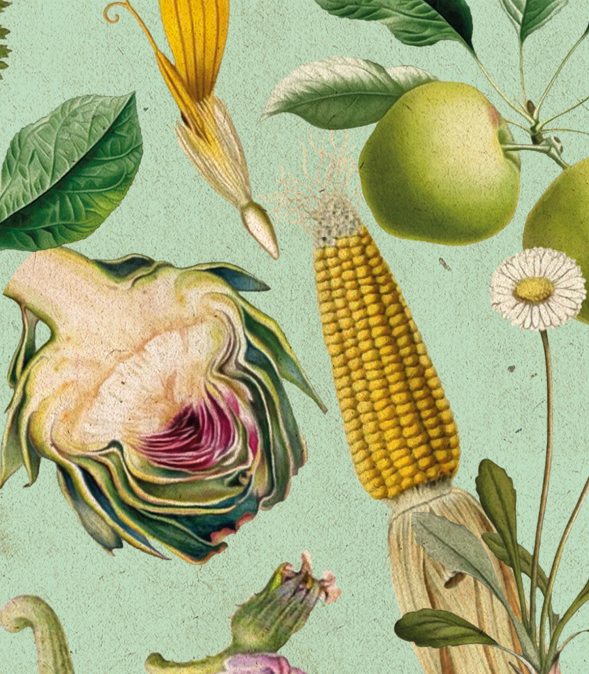 Gemüseerträge Hintergrundbild