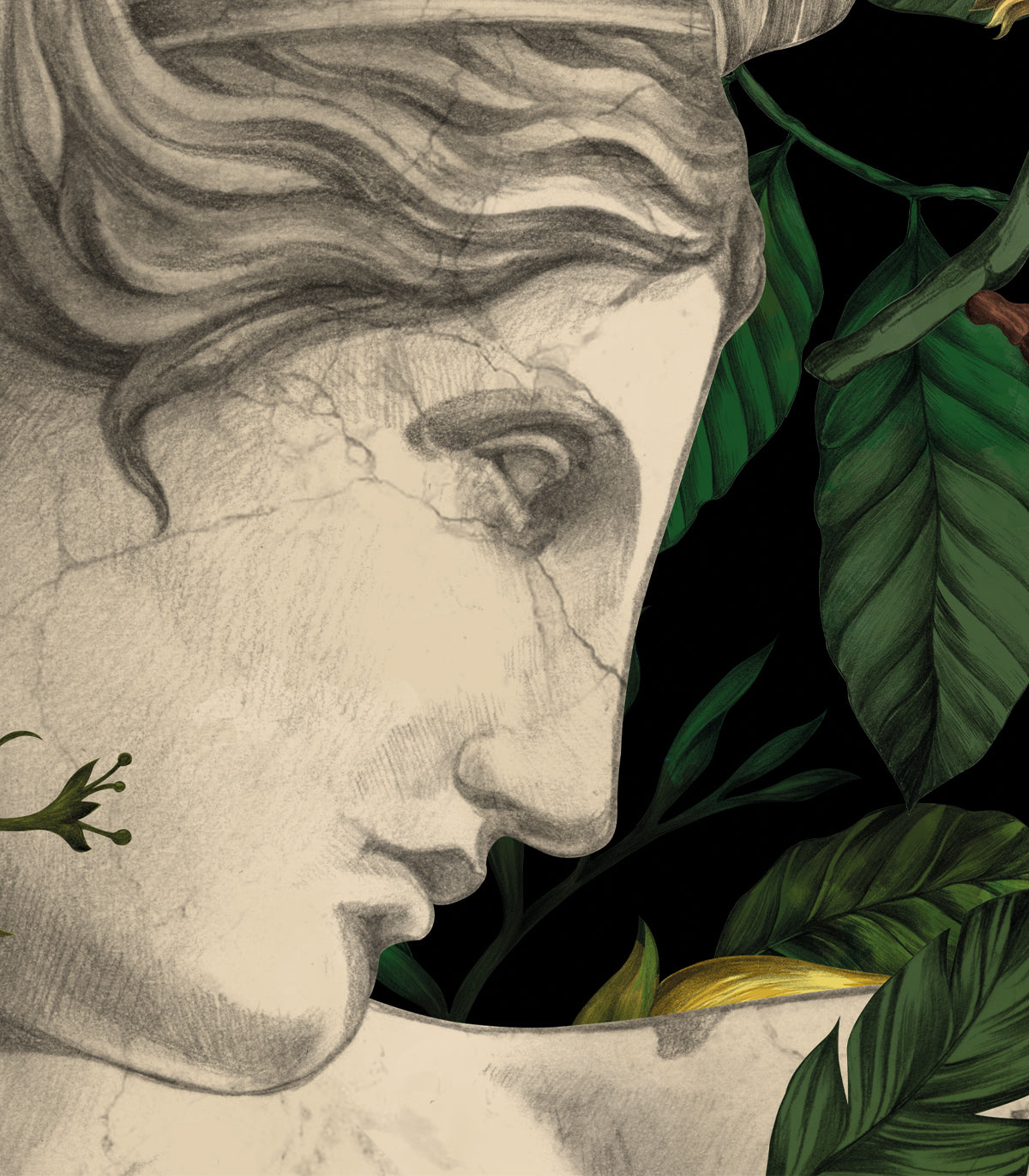 Venus-Hintergrundbild