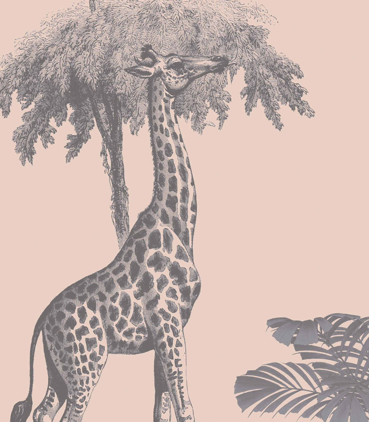 Rosa Tapete Vintage Tiere