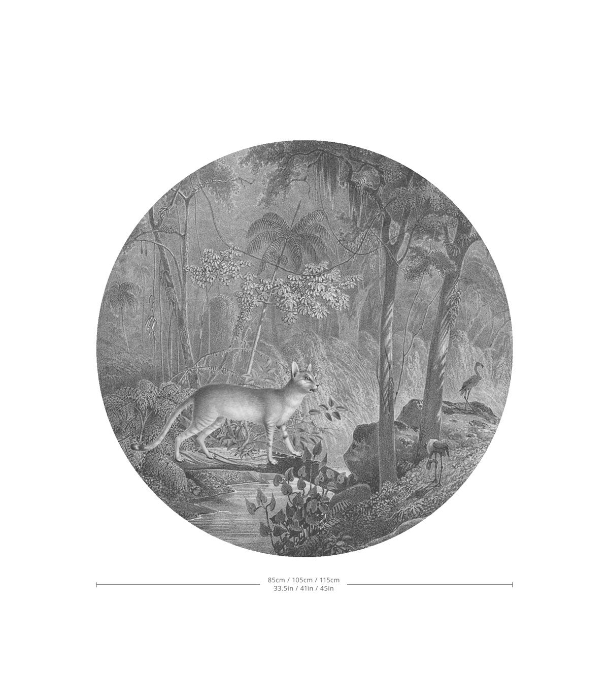 Punkte Dschungelkatze