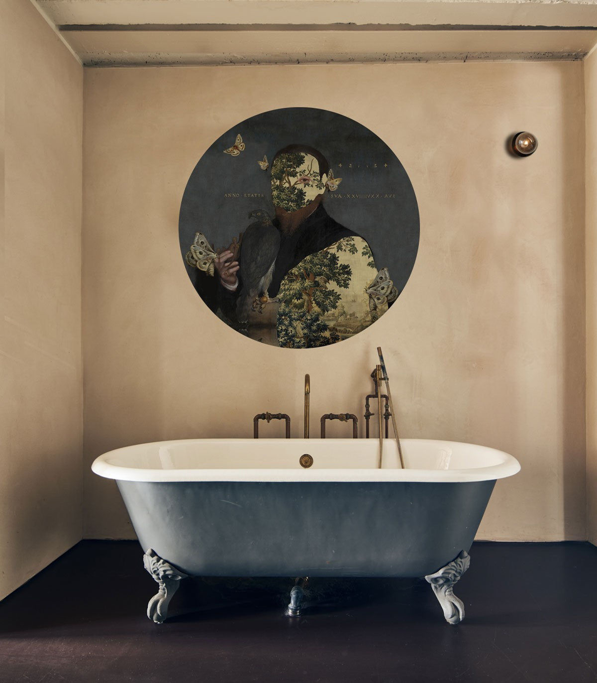 Punkte Beleuchtung Gentleman Moth