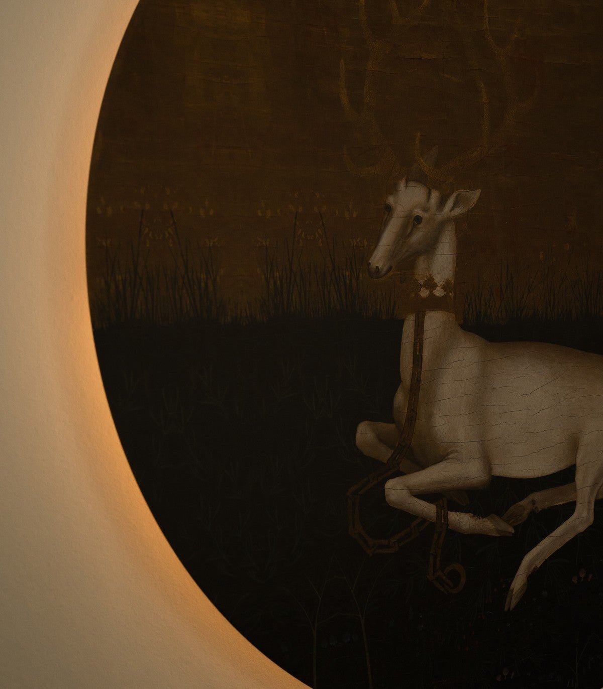 Dots Lighting Majestic Rest - Wallcolors®