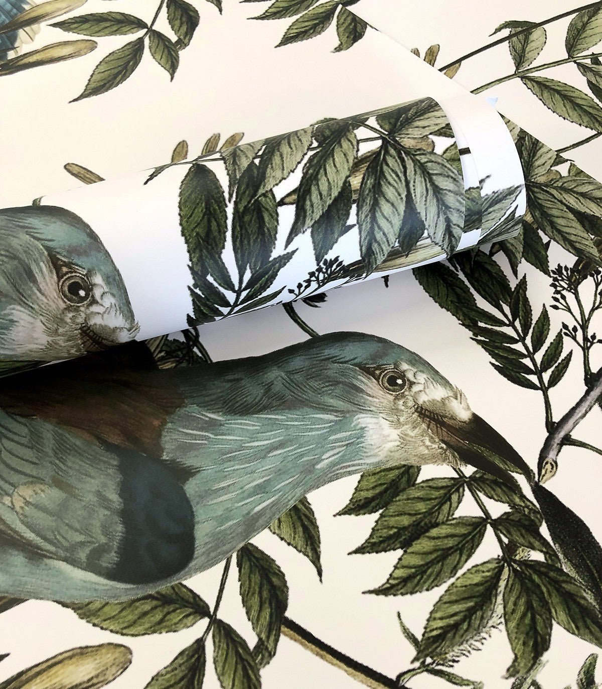 Tapeta Birds in Garden Ecri - Wallcolors®