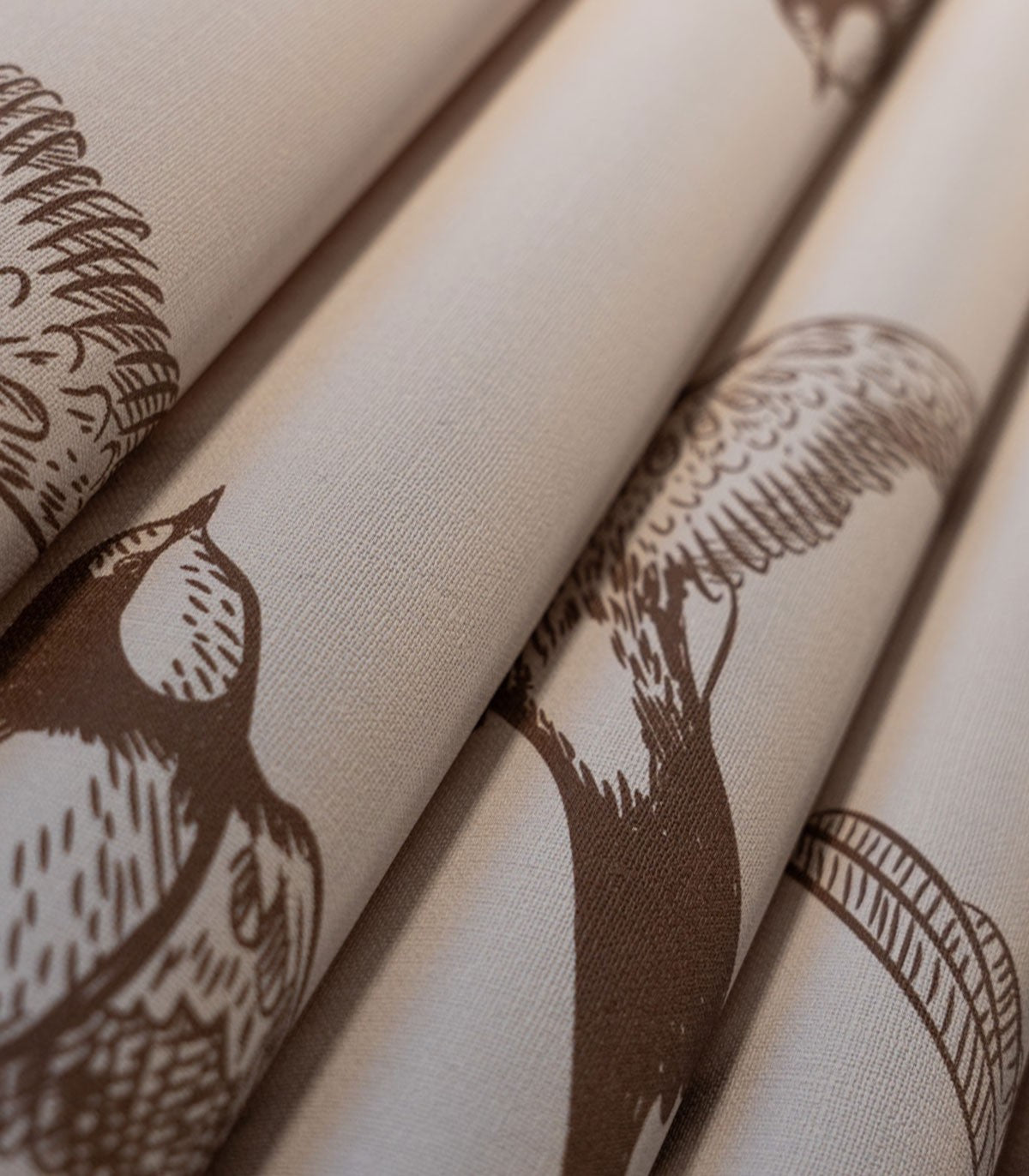 Braune Schwalbe Hintergrund