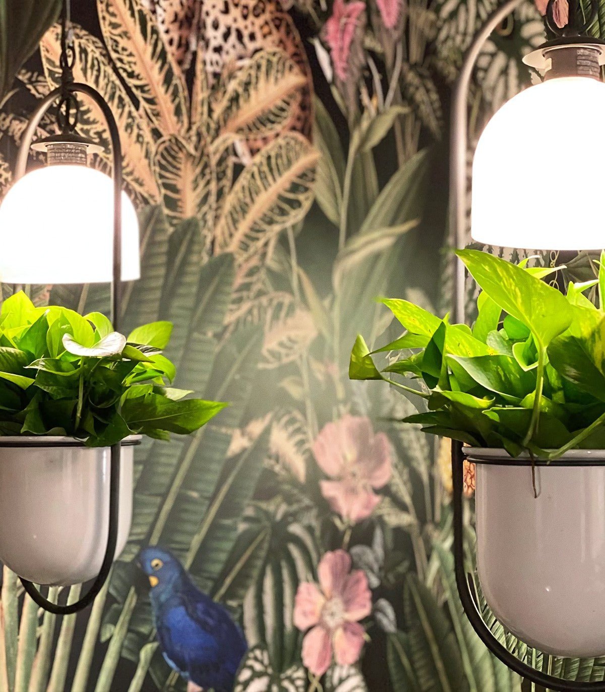 Tapeta Dark Jungle - Wallcolors®