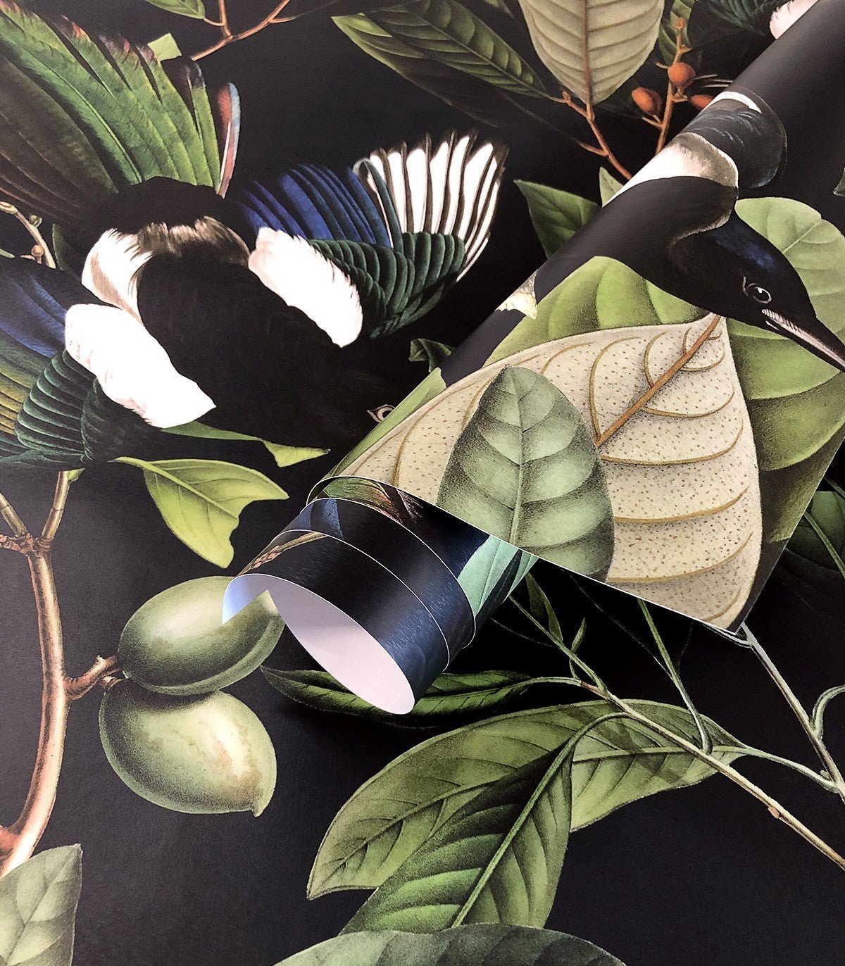 Tapeta Magpie Black - Wallcolors®