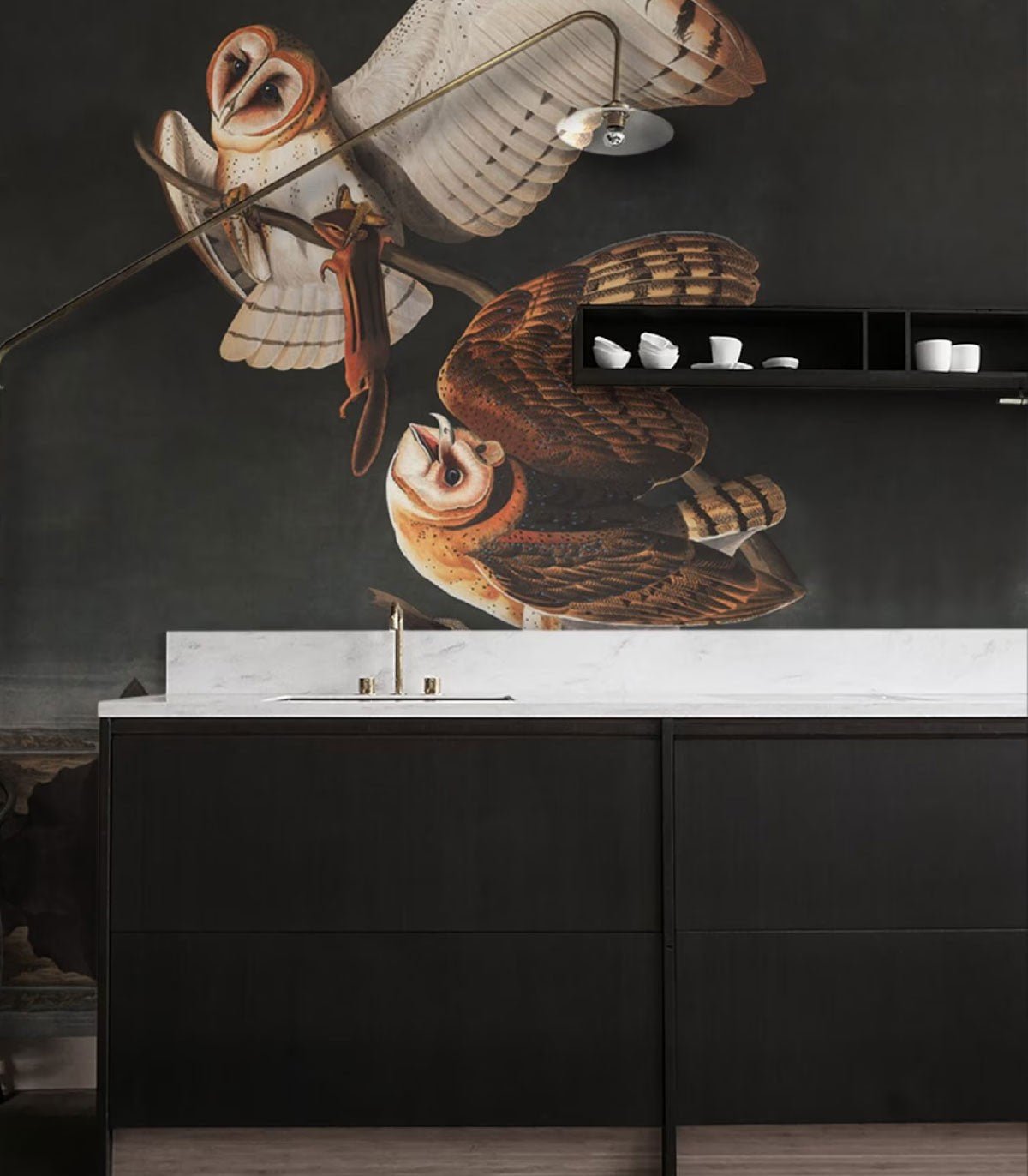 Tapeta Owls - Wallcolors®