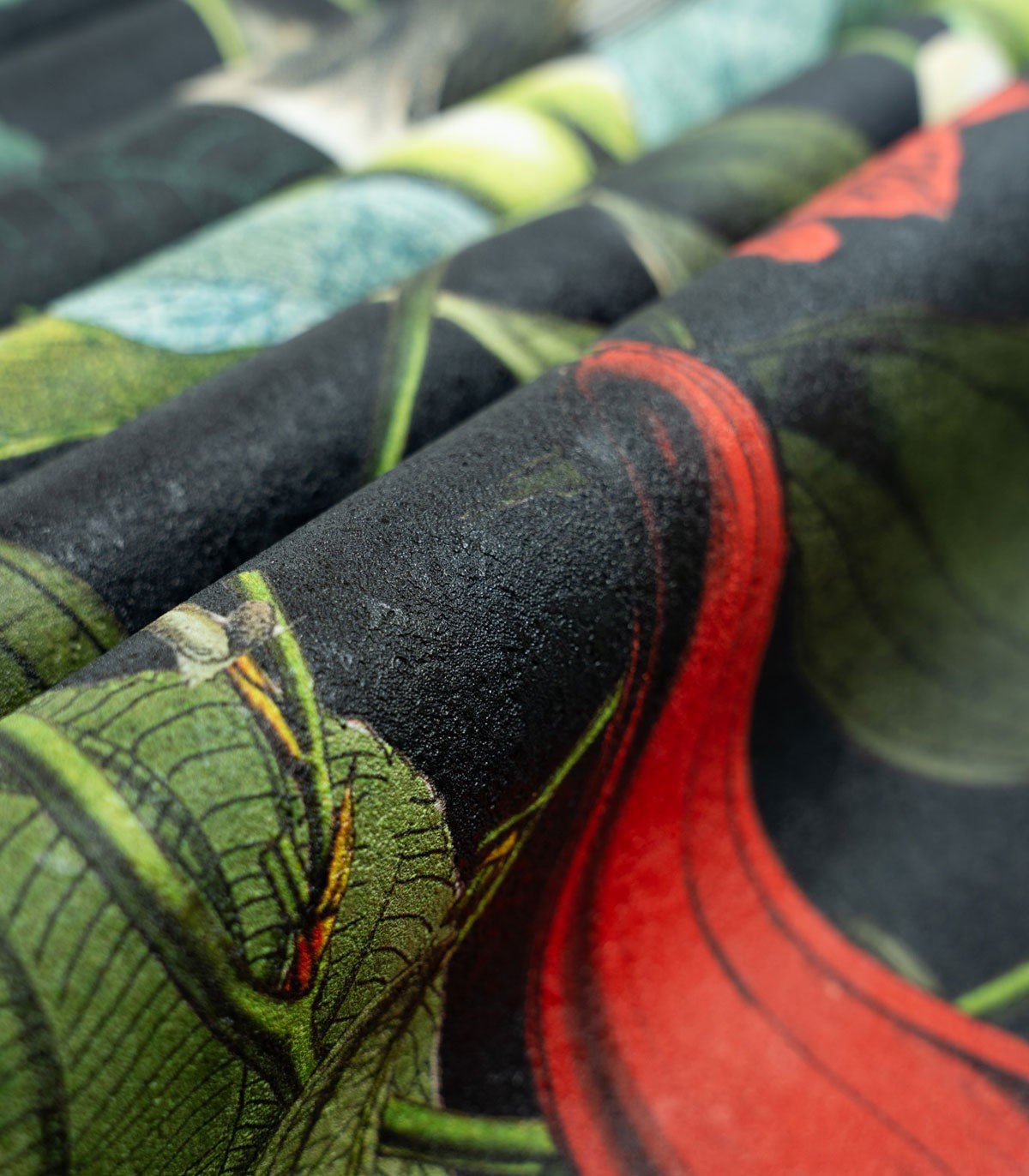 Tapeta The Jungle Book Black - Wallcolors®