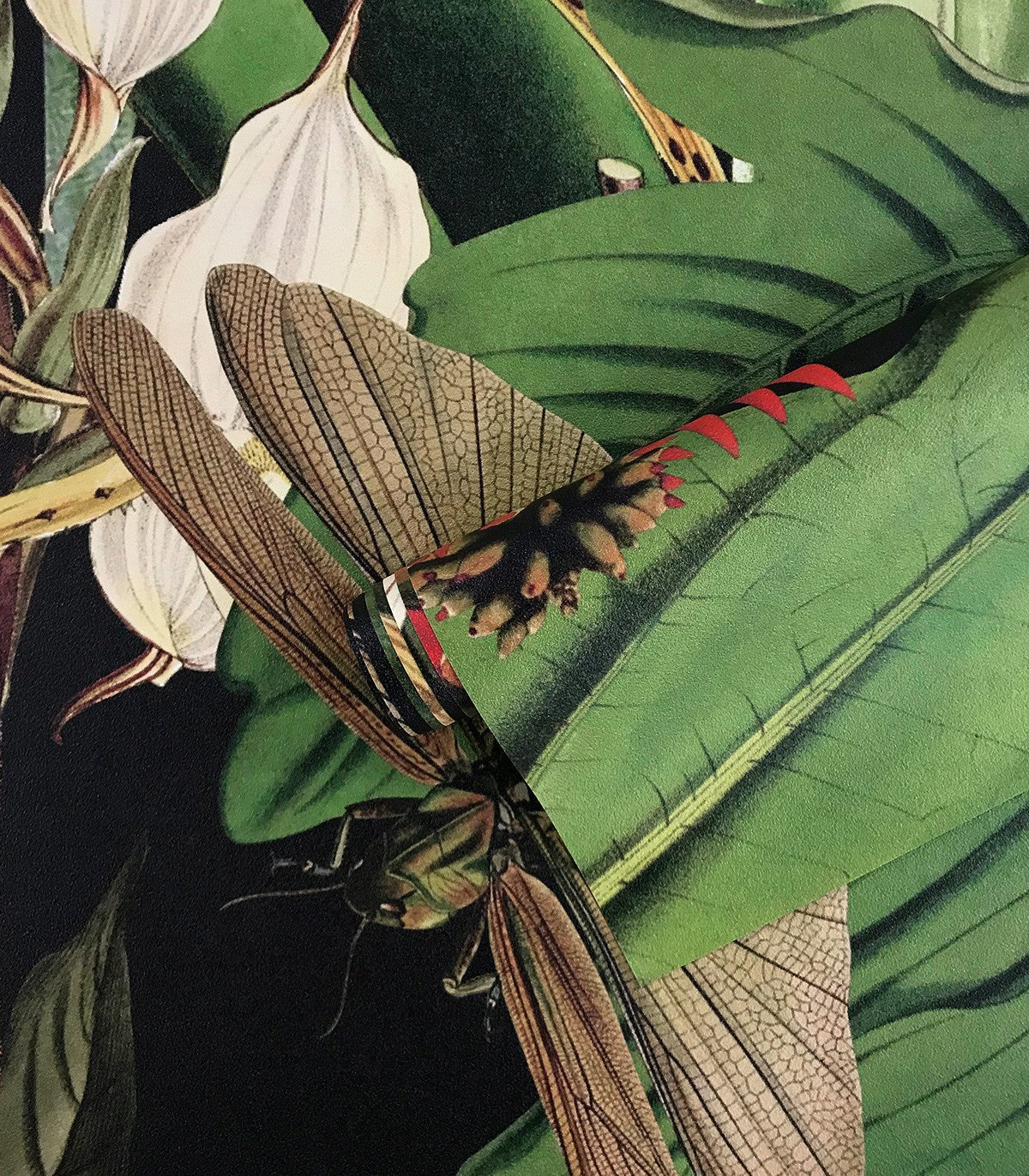 Tropische Komposition Tapete