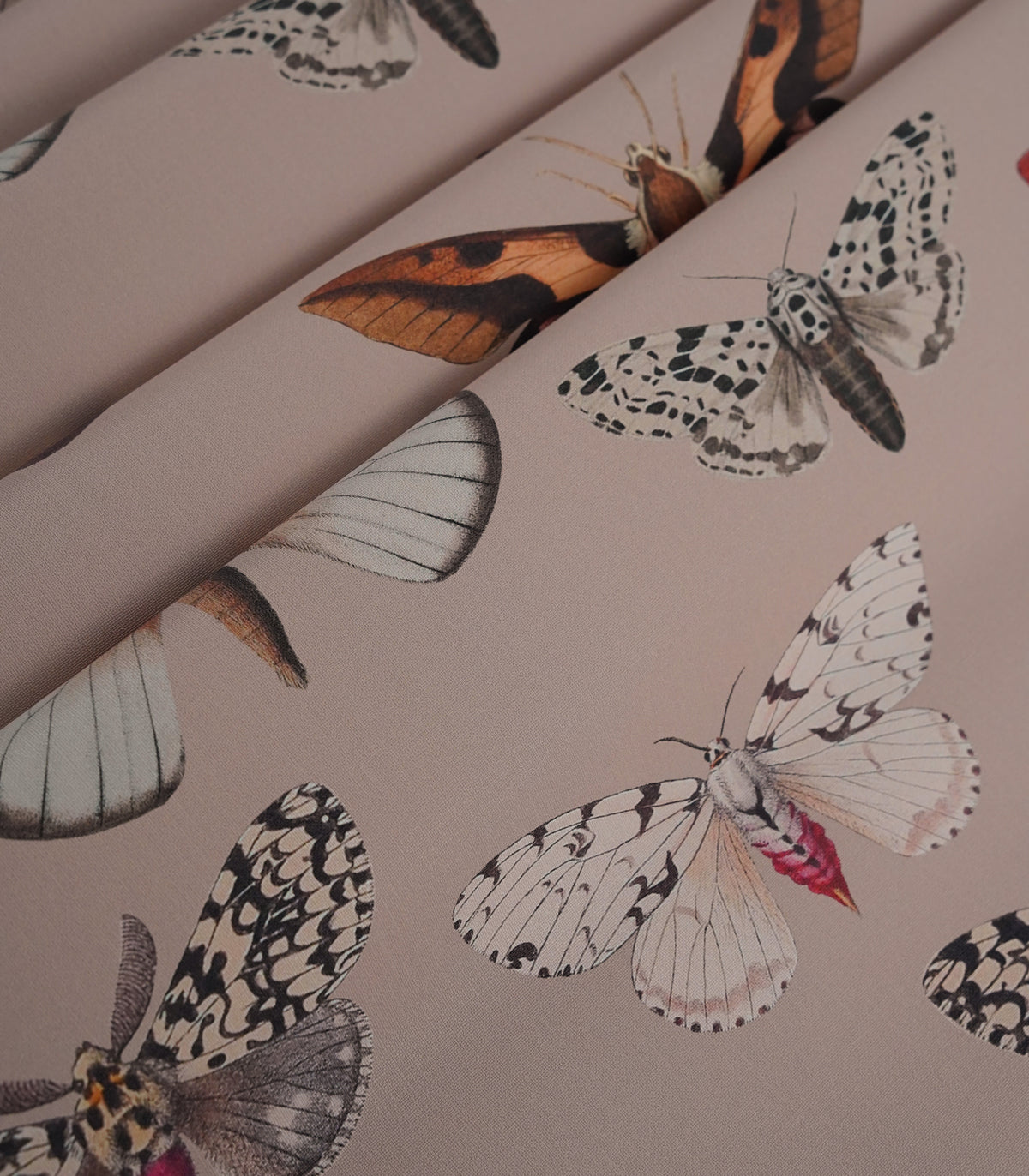 Tapete Colorful Butterfly Pink