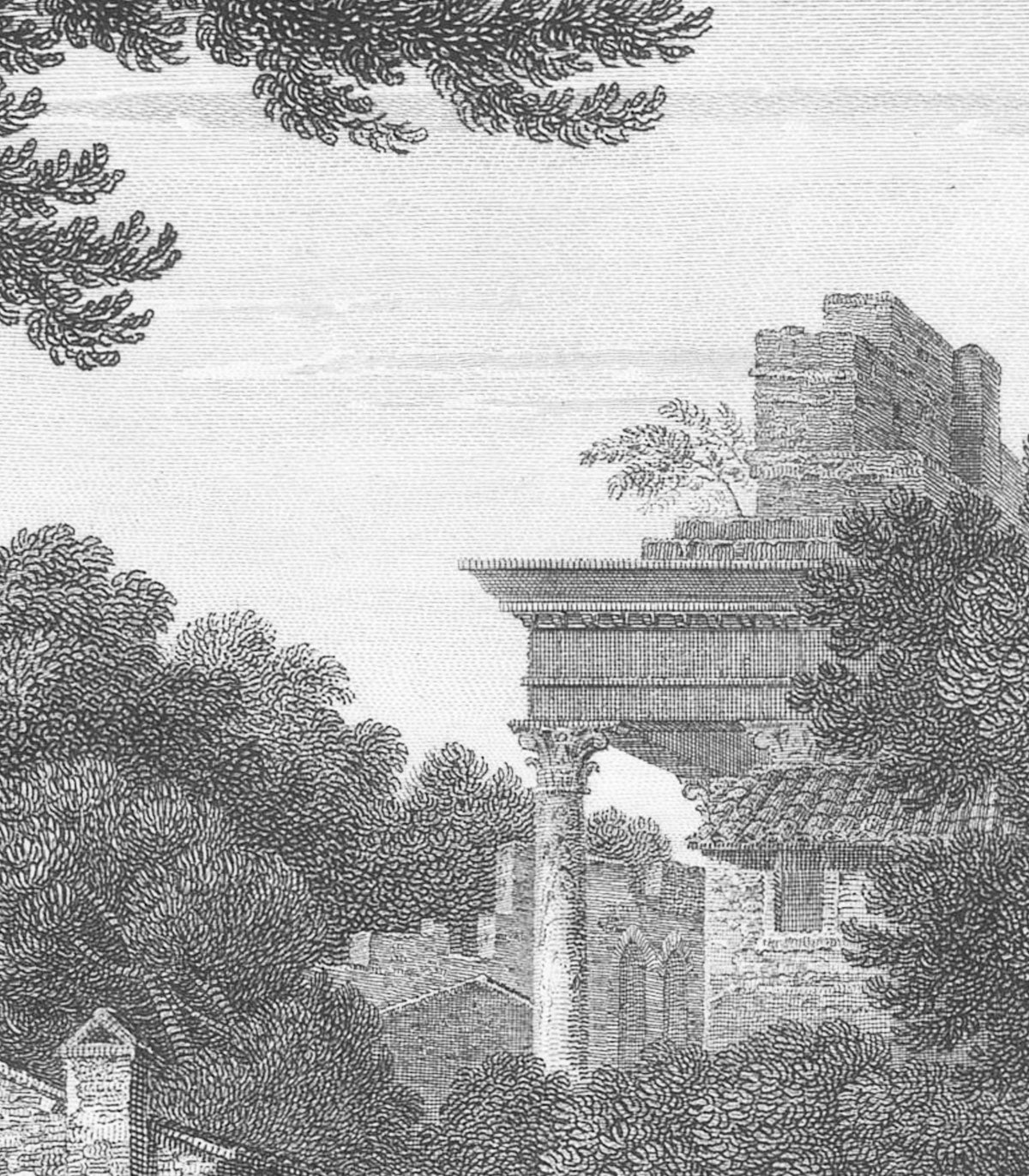 Altes Flussuferhain-Hintergrundbild