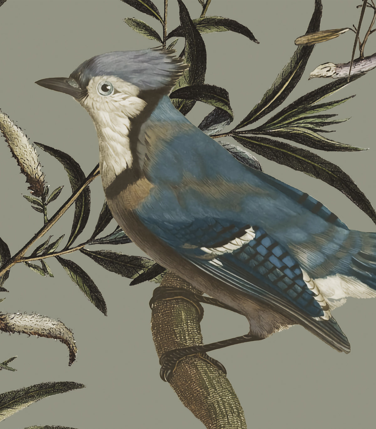 Vögel im Garten Hintergrund