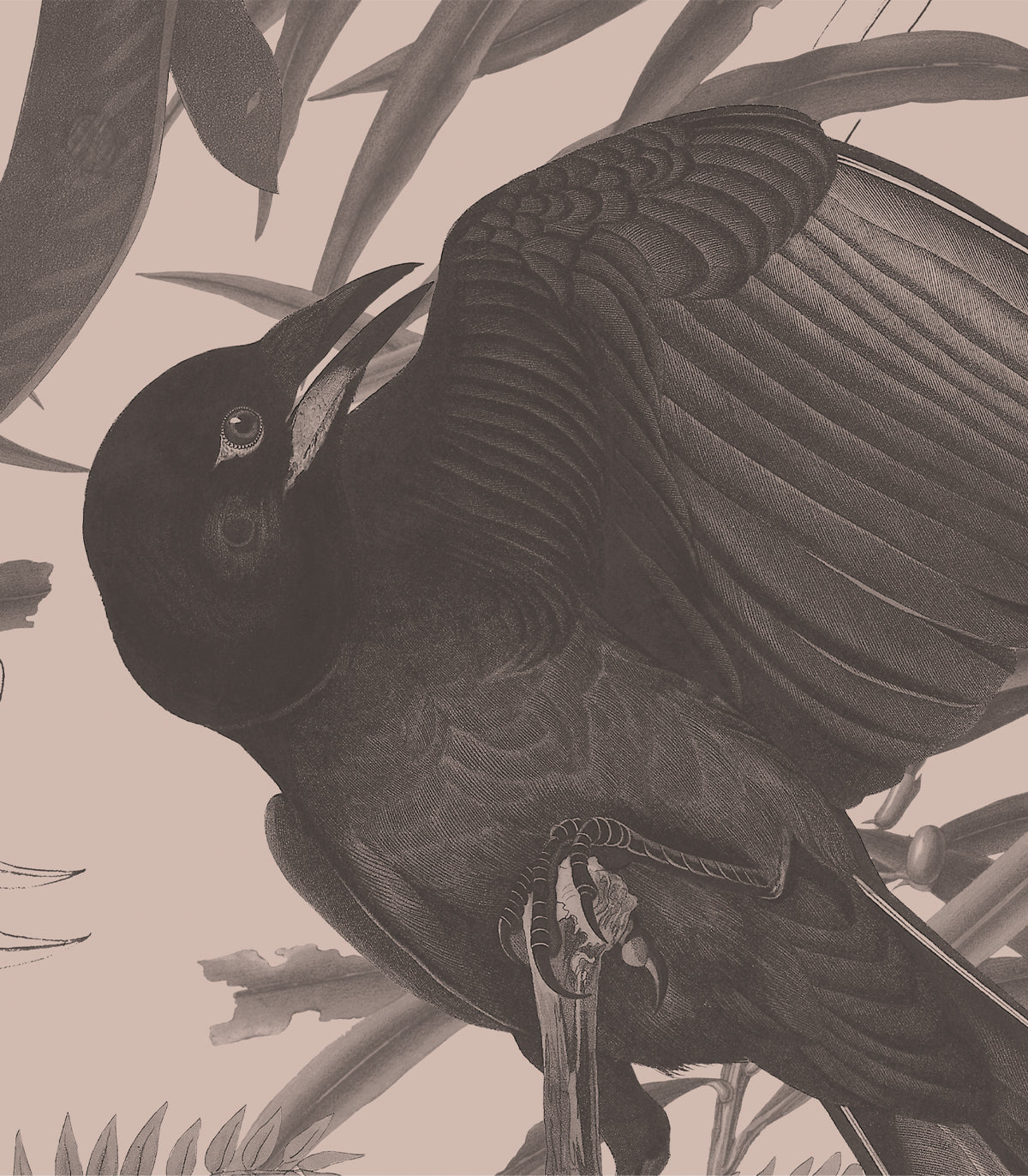 Krähen Beige Tapete