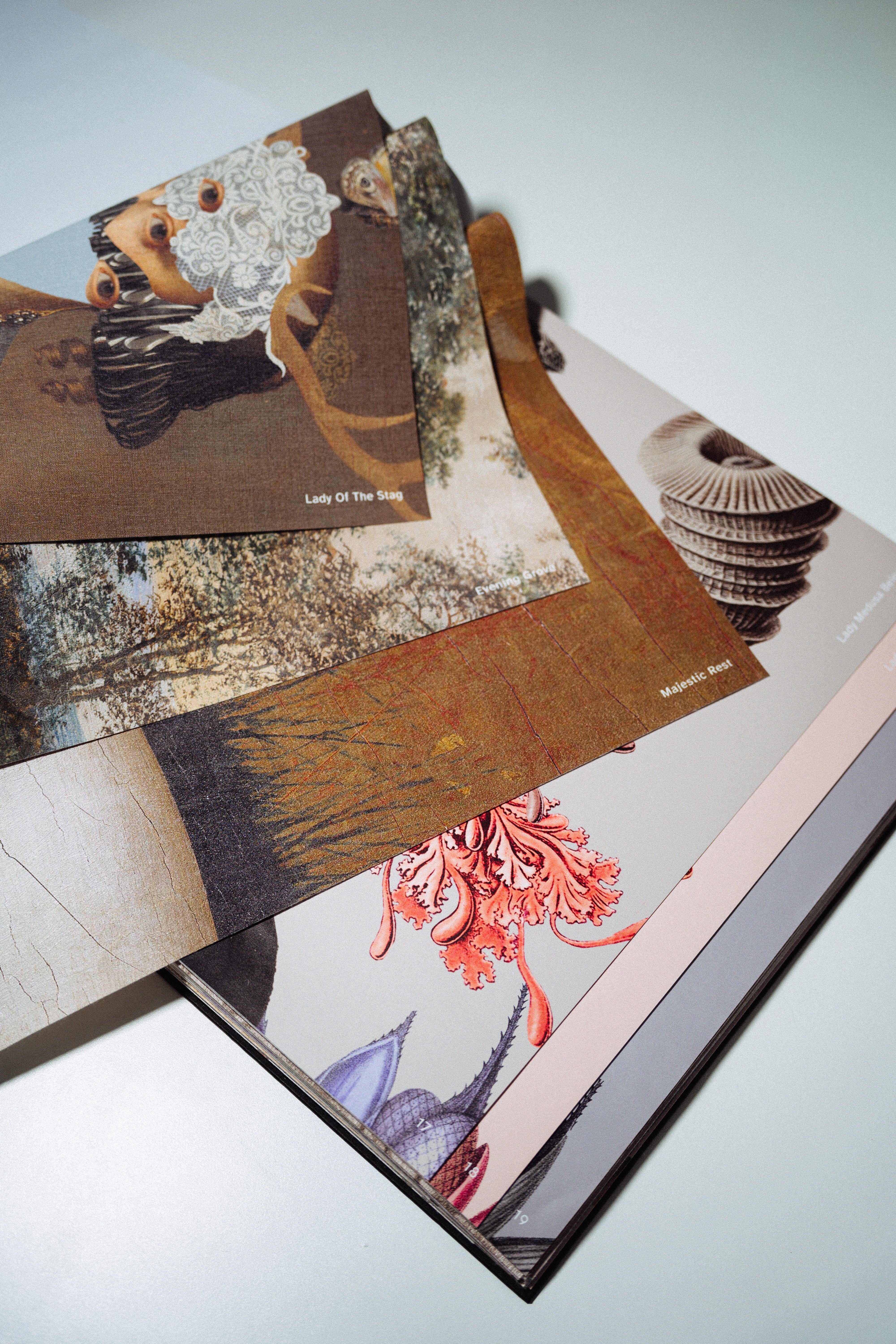 SampleBook