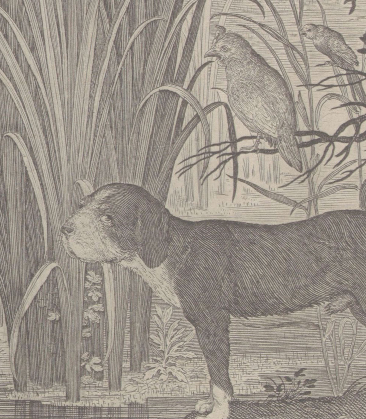 Fauna Fresco Beige Tapete